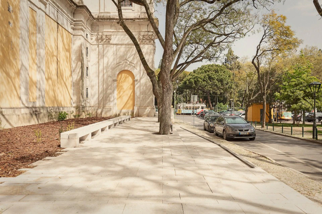 BASILICA_WEB_10