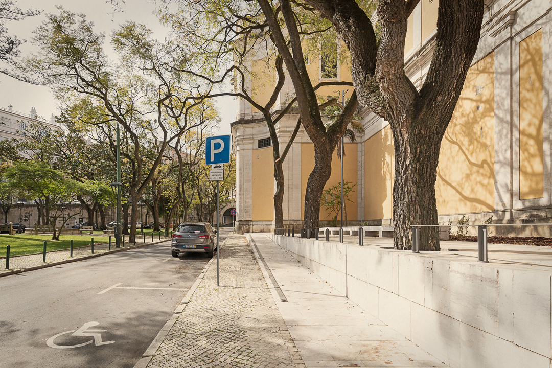 BASILICA_WEB_12