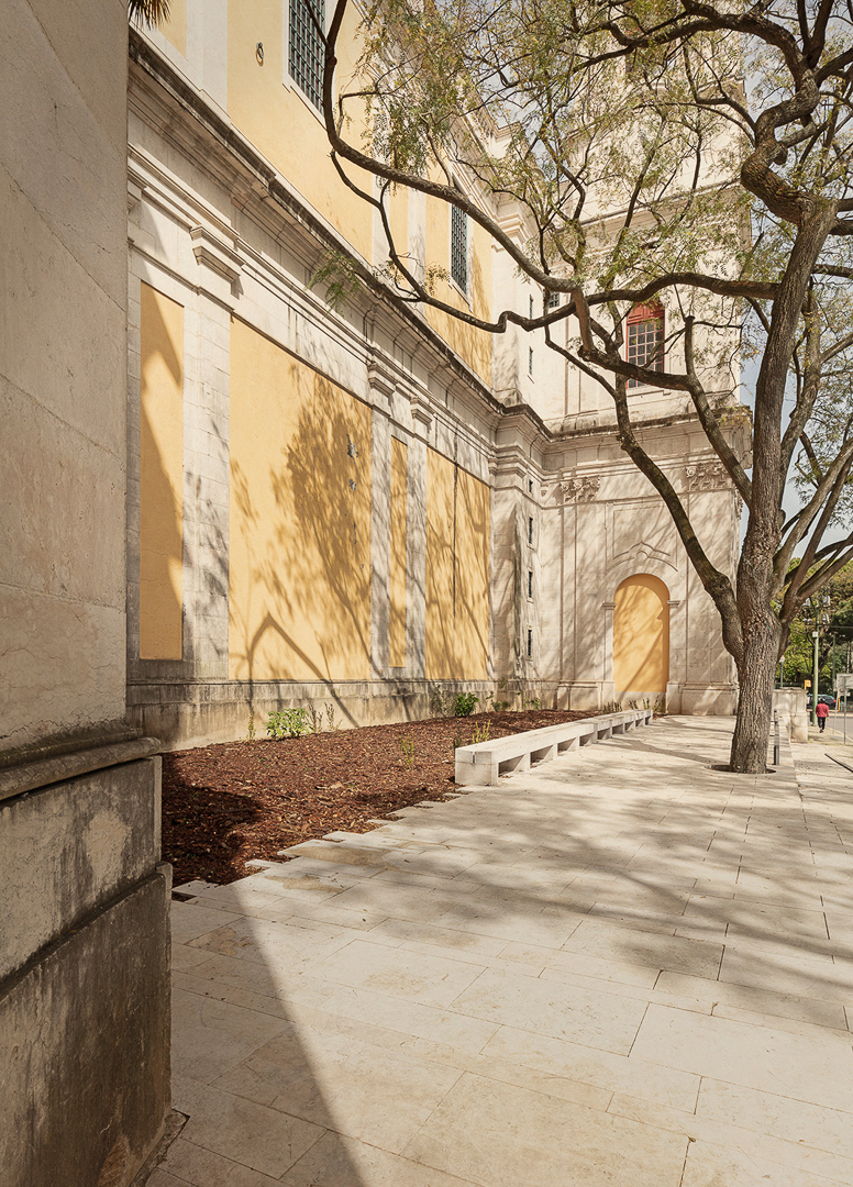 BASILICA_WEB_14