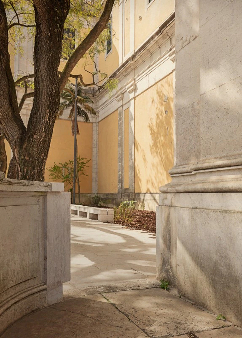 BASILICA_WEB_15