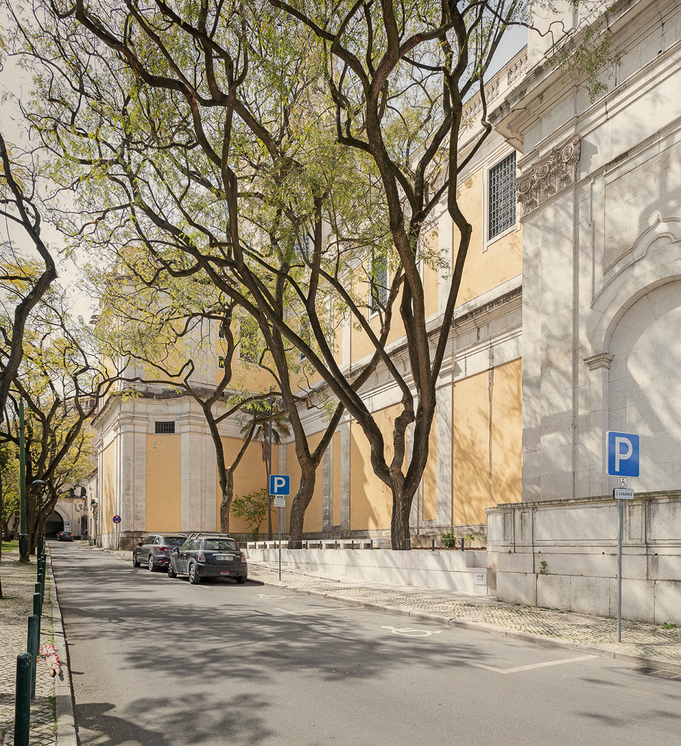 BASILICA_WEB_3