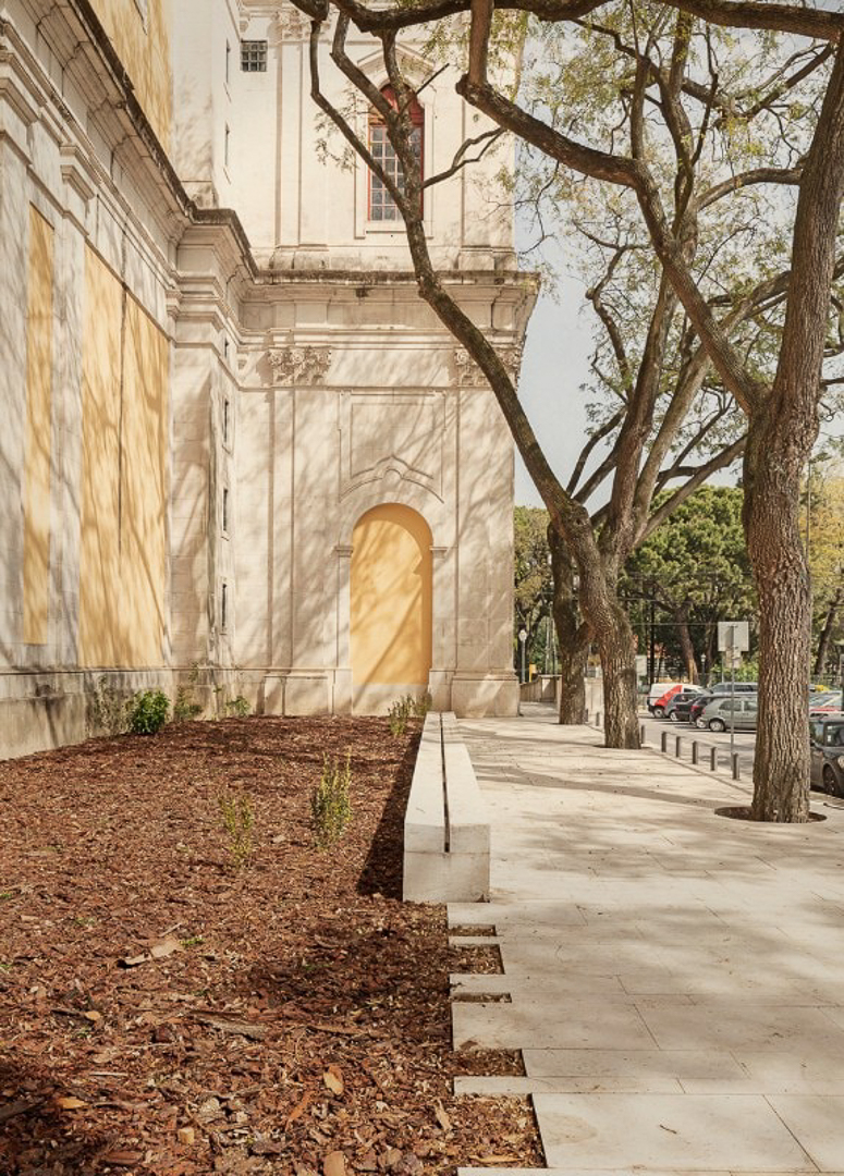 BASILICA_WEB_4
