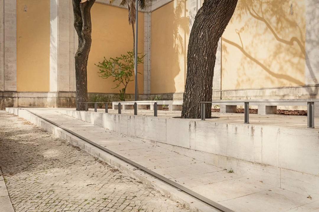 BASILICA_WEB_6