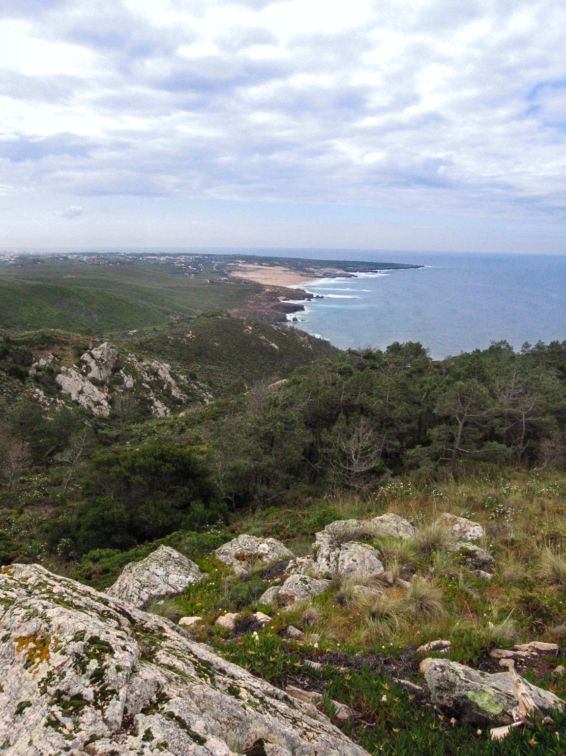 Biscaia_1